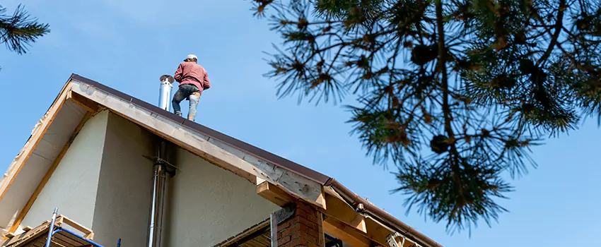 Birds Removal Contractors from Chimney in Granite Bay, CA
